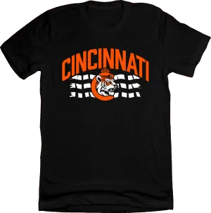 Cincinnati Flag Dey