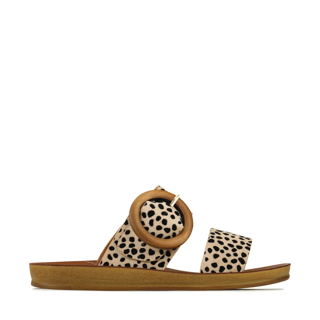 Damani Slides