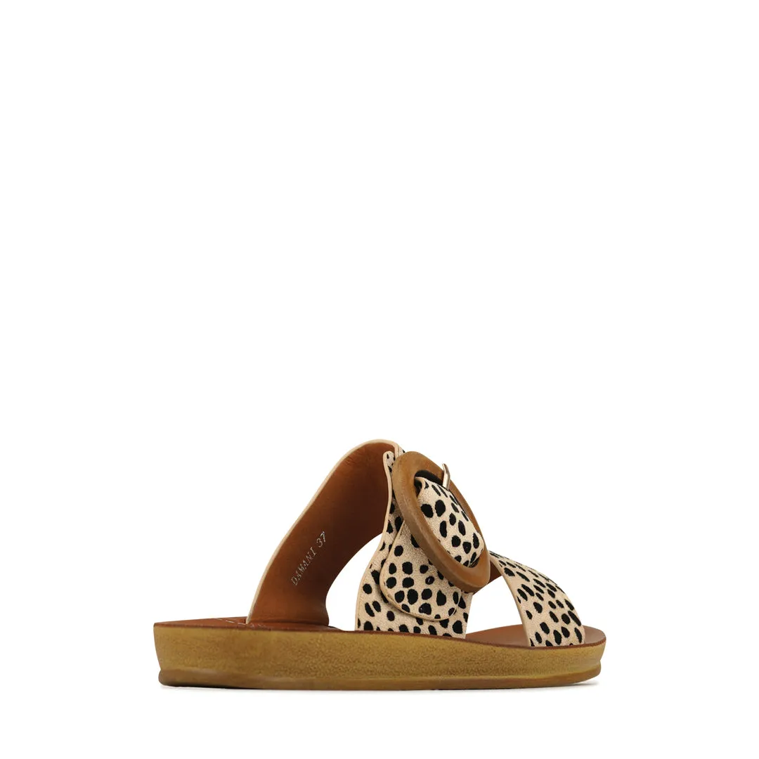 Damani Slides