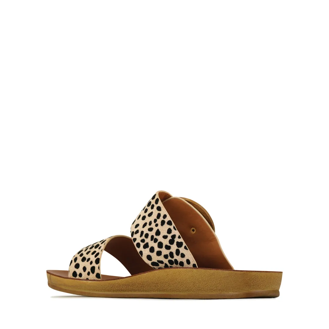Damani Slides
