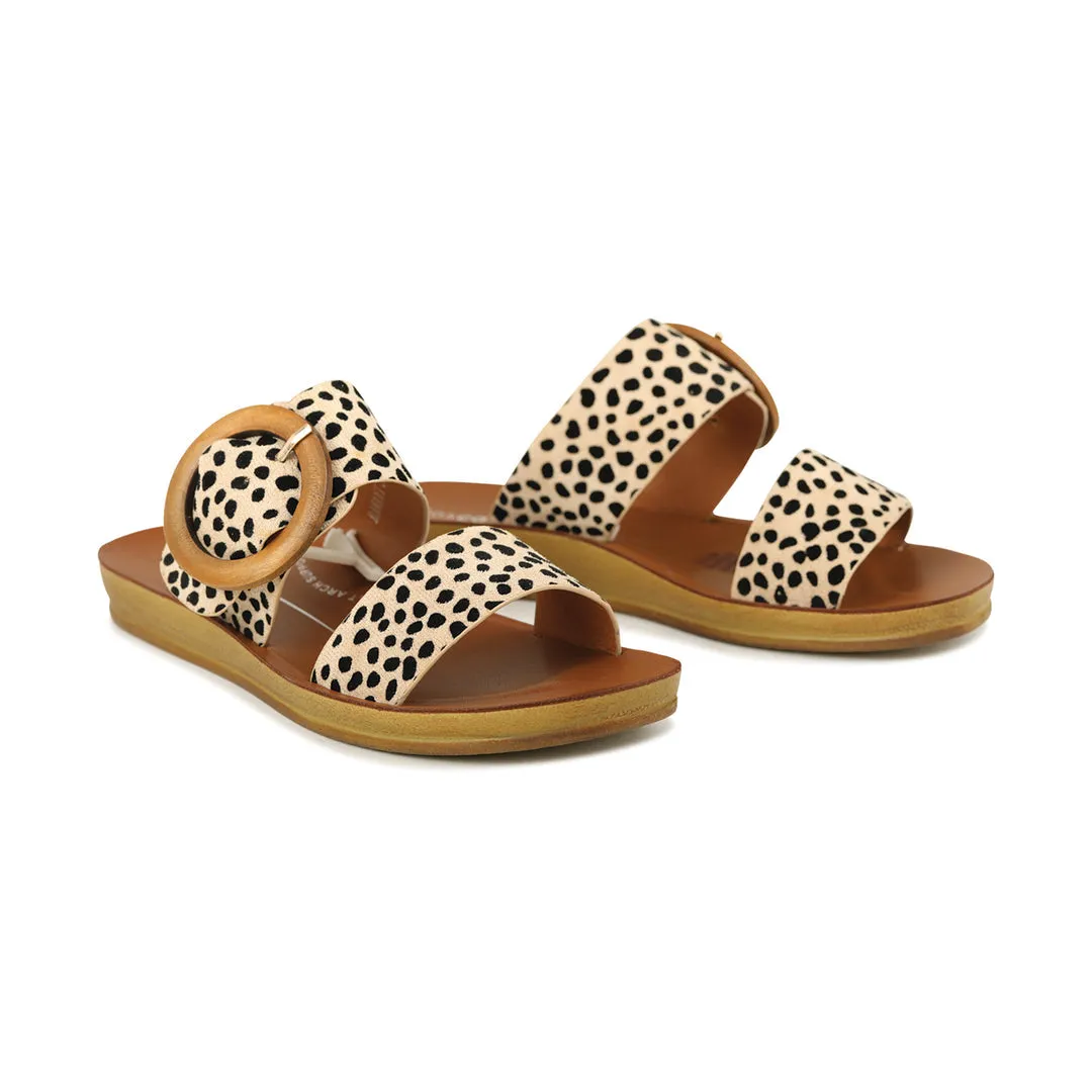 Damani Slides