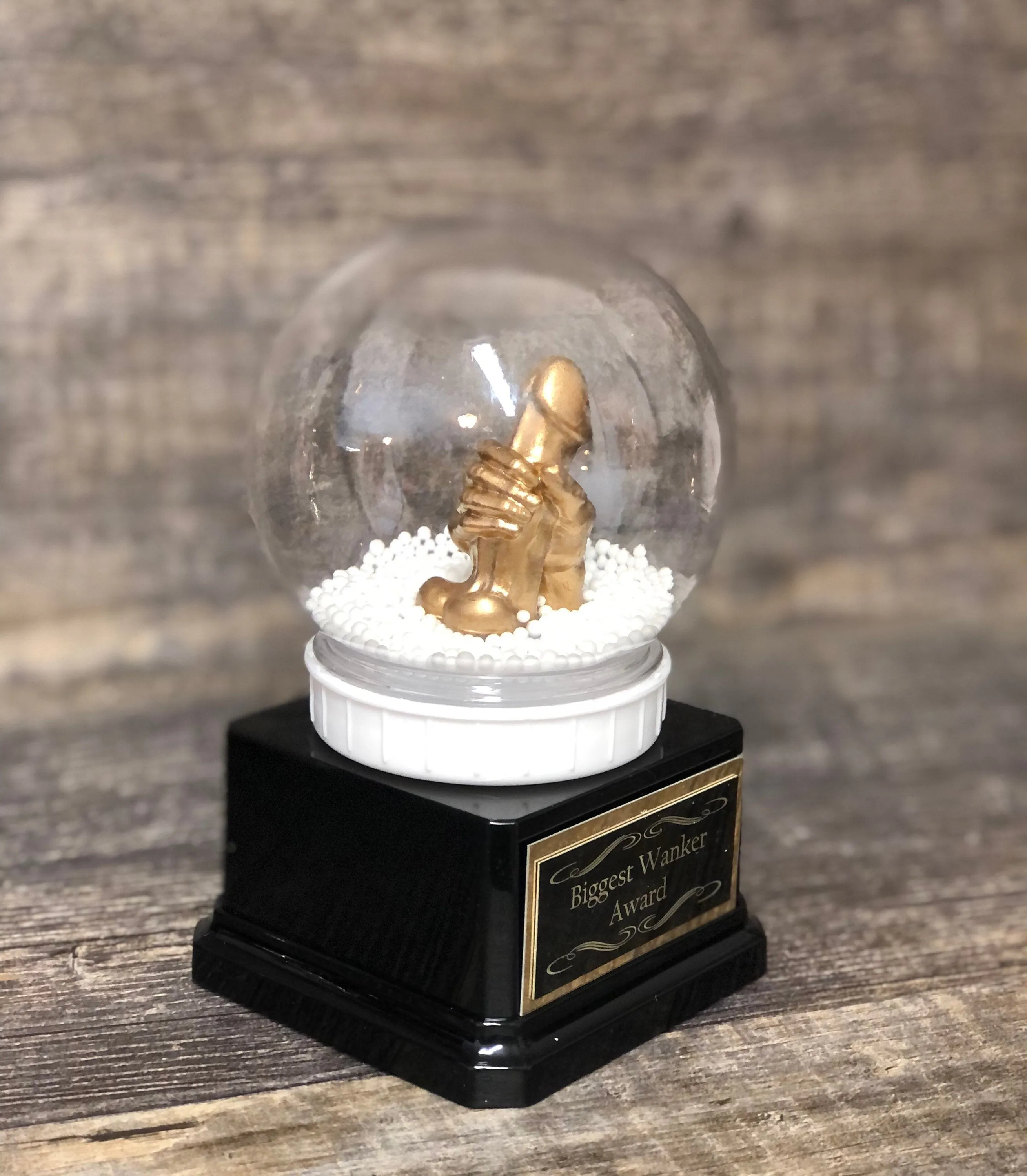 WANKER Snow Globe Funny Trophy Award You're A Dick Biggest Wanker Trophy Adult Humor FFL LOSER Trophy Secret Santa Funny Gag Gift Penis